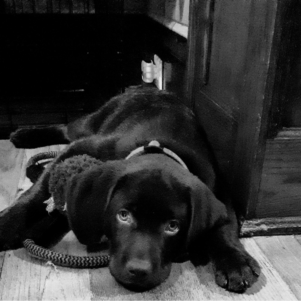 Meet your Posher, Keira